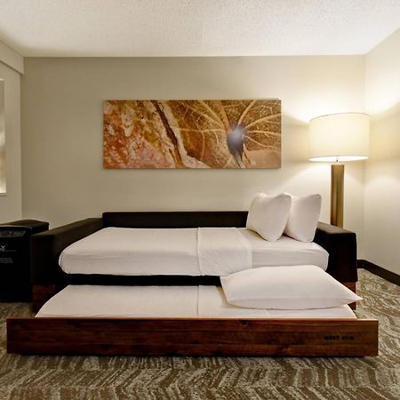 Springhill Suites By Marriott Atlanta Kennesaw Eksteriør billede